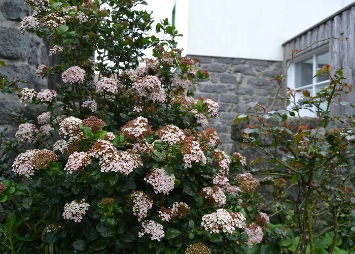 Dom wakacyjny Tradicampo-ferienhaus A Arribana By Interhome *